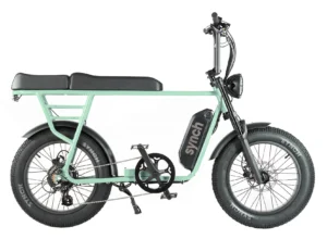 Synch Long Tail Super Monkey Electric Bike