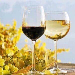 Wildwood Vineyard E-Bike Tour